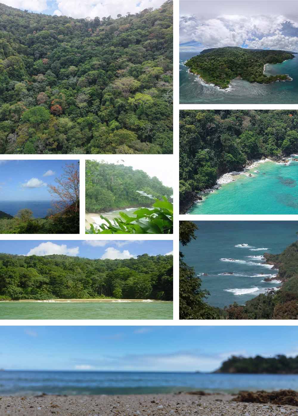 Lanse fourmi snapshots