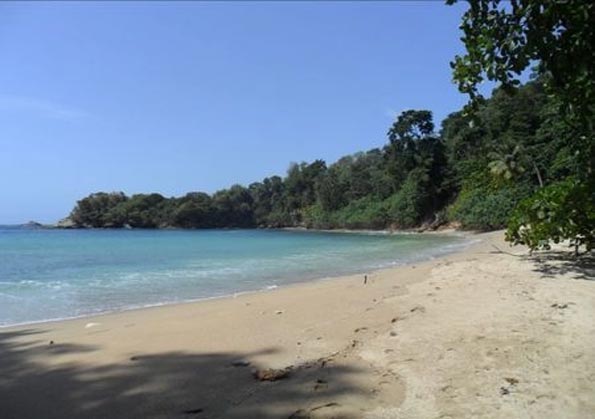 Lanse fourmi tobago